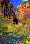 Zion tours
