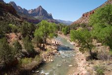 Las Vegas to Zion tour