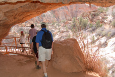 Zion tours from Las Vegas