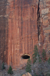 Zion tours